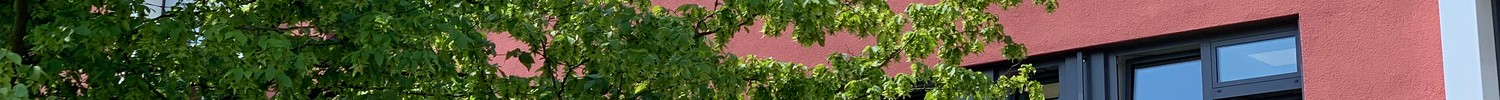 Foto der Fassade der Schule am Marsbruch mit grünem Baum im Vordergrund