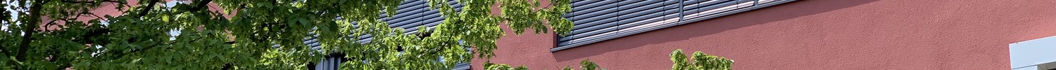 Blick auf die sanierte Fassade des Schulgebäudes, blauer Himmel, rote Fassade, grüner Baum im Vordergrund